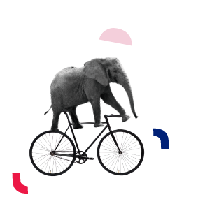 Elefante utilizando uma bicicleta